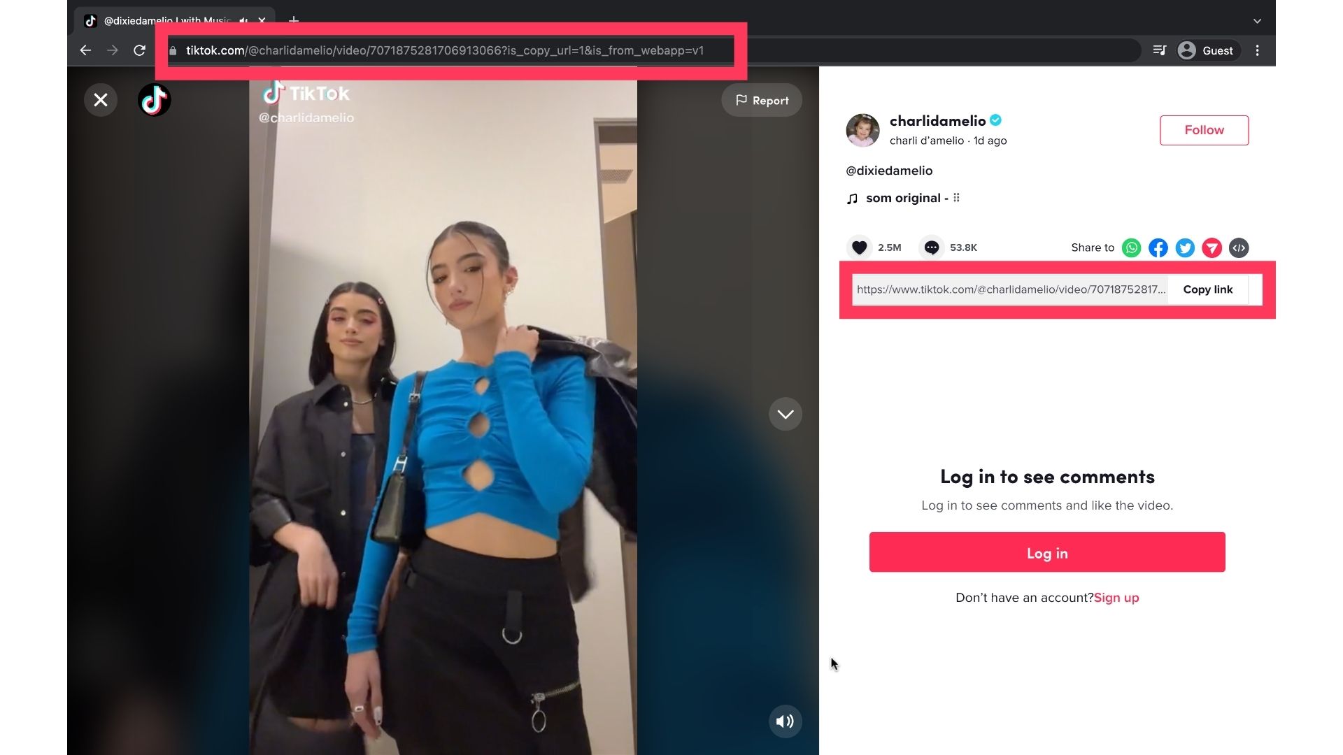 snaptik-desktop-copy-video-url (1)