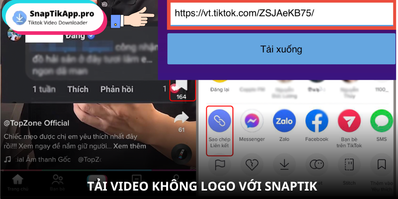app-edit-video-khong-logo-voi-snaptik
