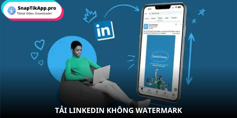 linkedin-video-loi-ich-tai-voi-snaptik