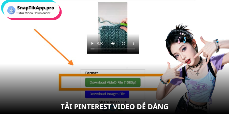 pinterest-video-huong-dan-tai-voi-snaptik