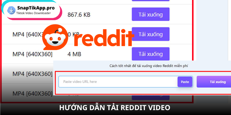 reddit-video-tai-voi-snaptik (2)