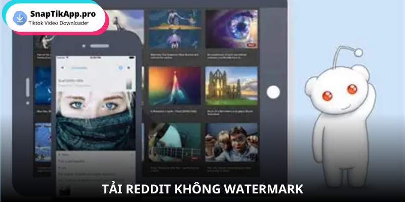 reddit-video-tai-voi-snaptik