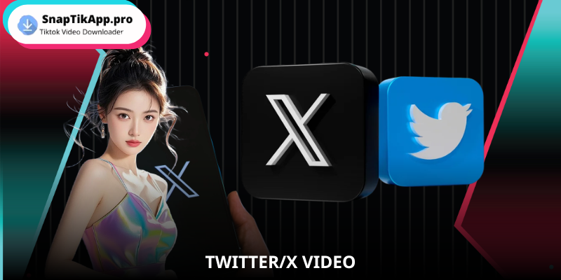 twitter-x-video