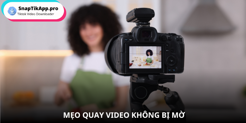 video-bi-mo-meo-khong-bi