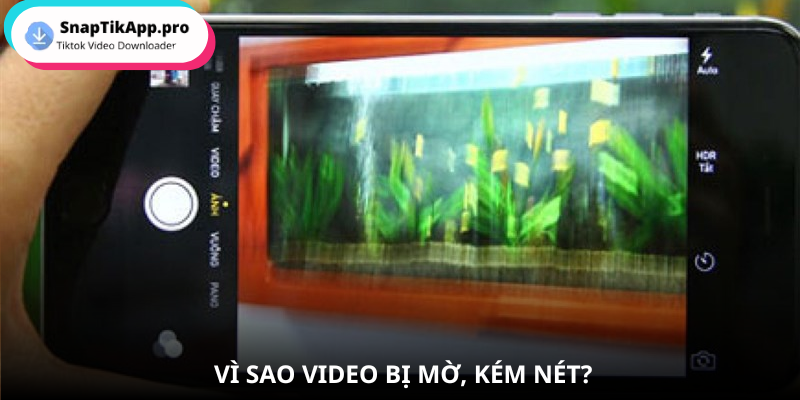 video-bi-mo-vi-sao