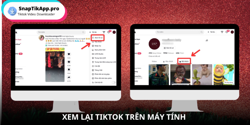 video-da-xem-bang-may-tinh