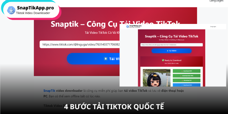 video-tiktok-nuoc-ngoai-tai-bang-snaptik