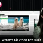 website-tai-video-tot-nhat